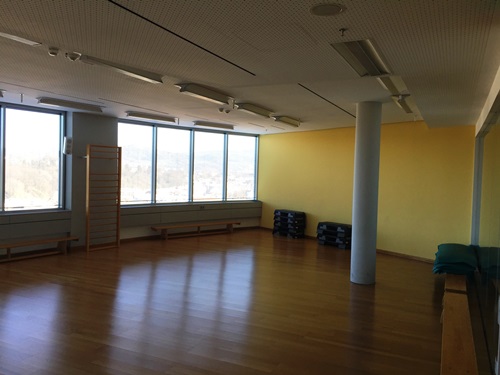 Foto kleiner Turnsasal 13.06 2