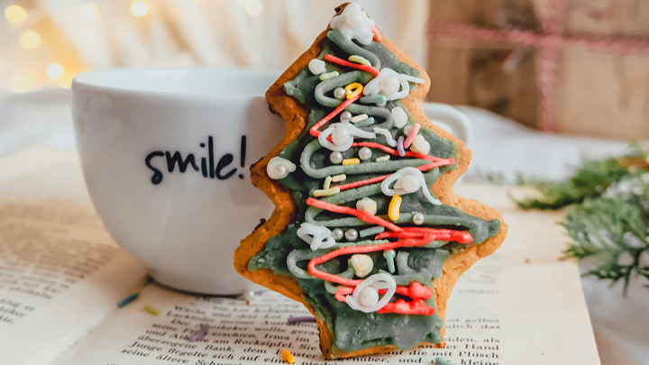 Lebkuchen und Buch