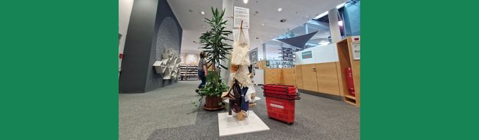 Taschenbaum in der Stadtbibliothek Wissensturm