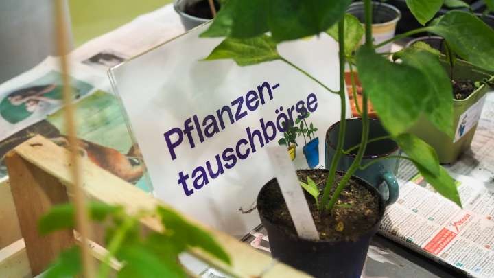 KlimaEck_Pflanzentausch_c_Sofie_Hochenburger